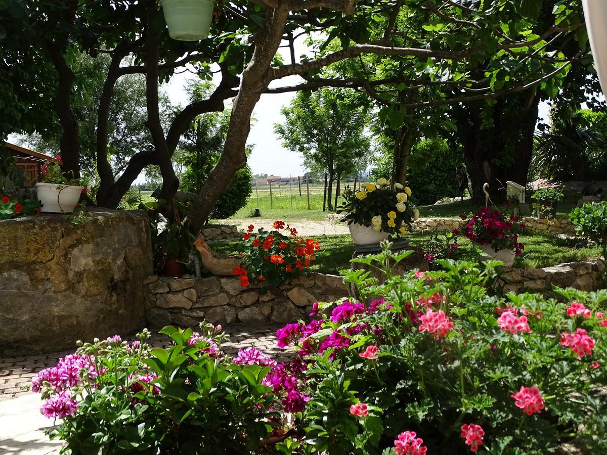 Bastide Des Princes B&B Caderousse Zewnętrze zdjęcie